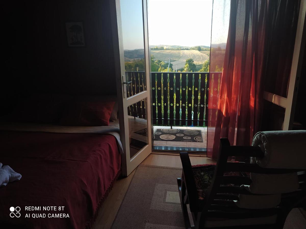 Apartmán Sweet Dreams Zaječar Exteriér fotografie
