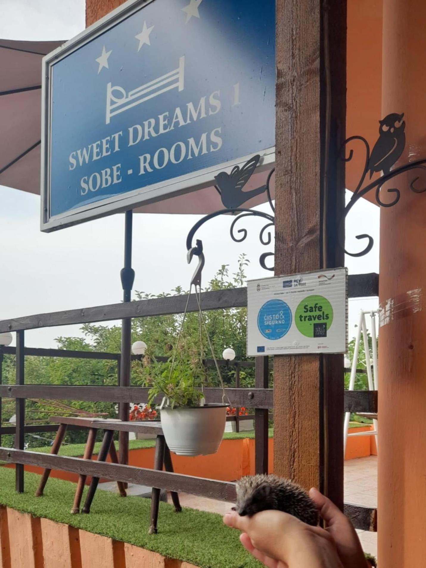Apartmán Sweet Dreams Zaječar Exteriér fotografie